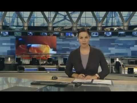 Сценарий юбилея сотрудника ДОУ Воспитателям детских садов
