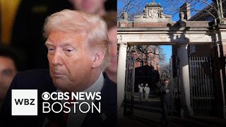 Trump administration freezes Harvard grants: Analysis