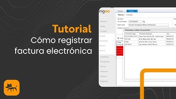Cómo registrar una factura electrónica - Dingoo Tutorial