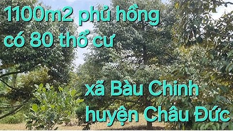 Chủ kẹt quá kẹt đành phải bán lô đất.