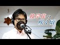 彼岸花の咲く頃 / 中澤卓也 cover by Shin