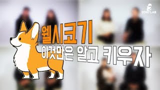 웰시코기 알고 키우자! 예비 웰시코기 반려자들에게 말한다