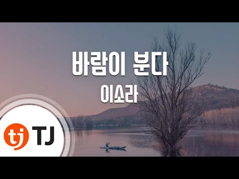 [TJ노래방 / 멜로디제거] 바람이분다 - 이소라 / TJ Karaoke