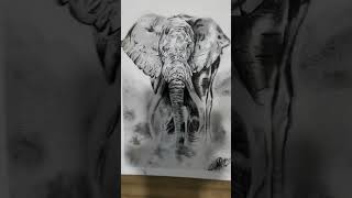 elephant sketch #shorts #shortvideo #drawing #art #sketch #elephantdrawing