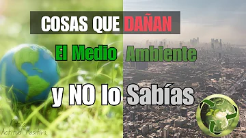 ¿Qué es lo más perjudicial para el medio ambiente?