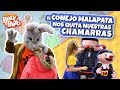 El Conejo Malapata Nos Quita Nuestras Chamarras - Bely y Beto