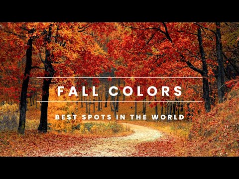 Video: I posti migliori per vedere il fogliame autunnale a New York City