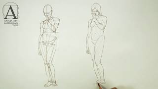 Http://anatomymasterclass.com/ - discover female anatomy in the master
class video lessons