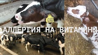 АЛЛЕРГИЯ НА ВИТАМИНЫ И НЕ ТОЛЬКО/ 5 СЛУЧАЕВ ИЗ ПРАКТИКИ