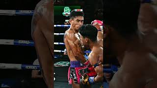 Knockout 🥊 #boxing #shorts