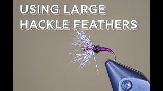 How To Use Large Hackle Feathers