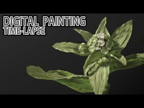 [デジタル画タイムラプス] 2時間20分で描くリアルなフキの花のメイキング | Digital Painting Time Lapse