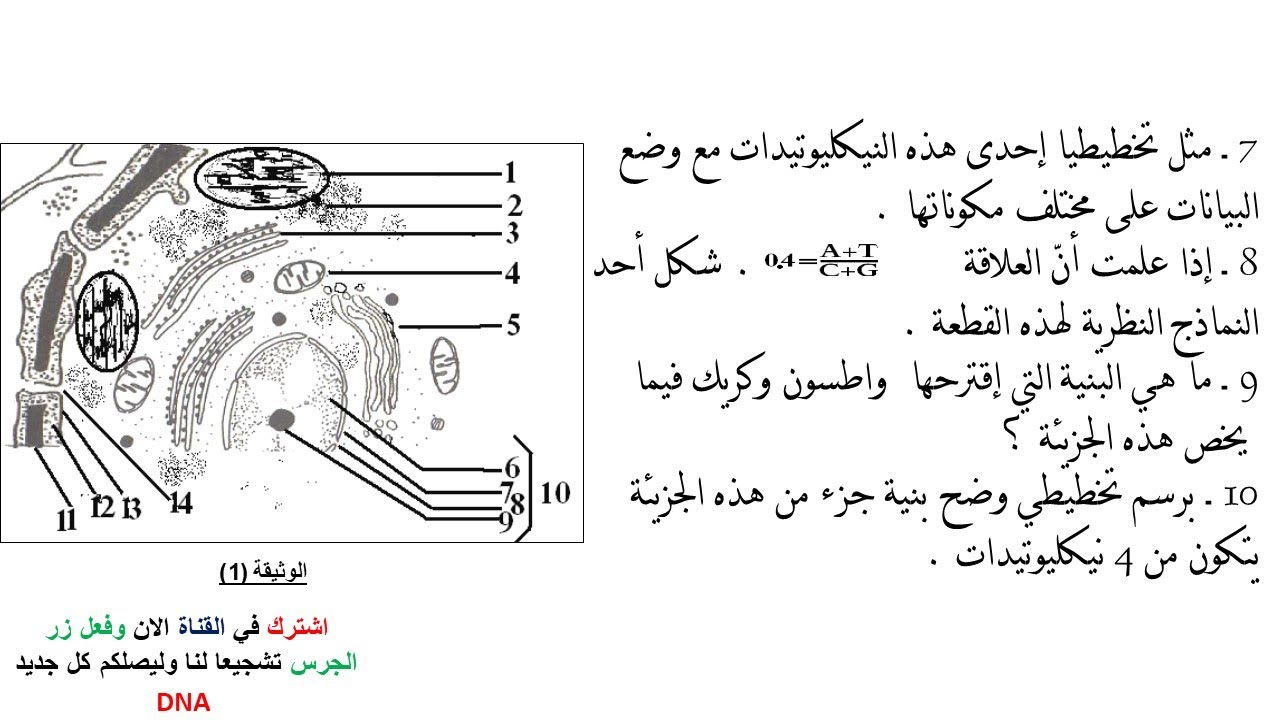 الاختبار الثاني في العلوم الطبيعية للسنة الثانية ثانوي