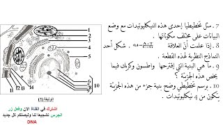 الاختبار الثاني في العلوم الطبيعية للسنة الثانية ثانوي