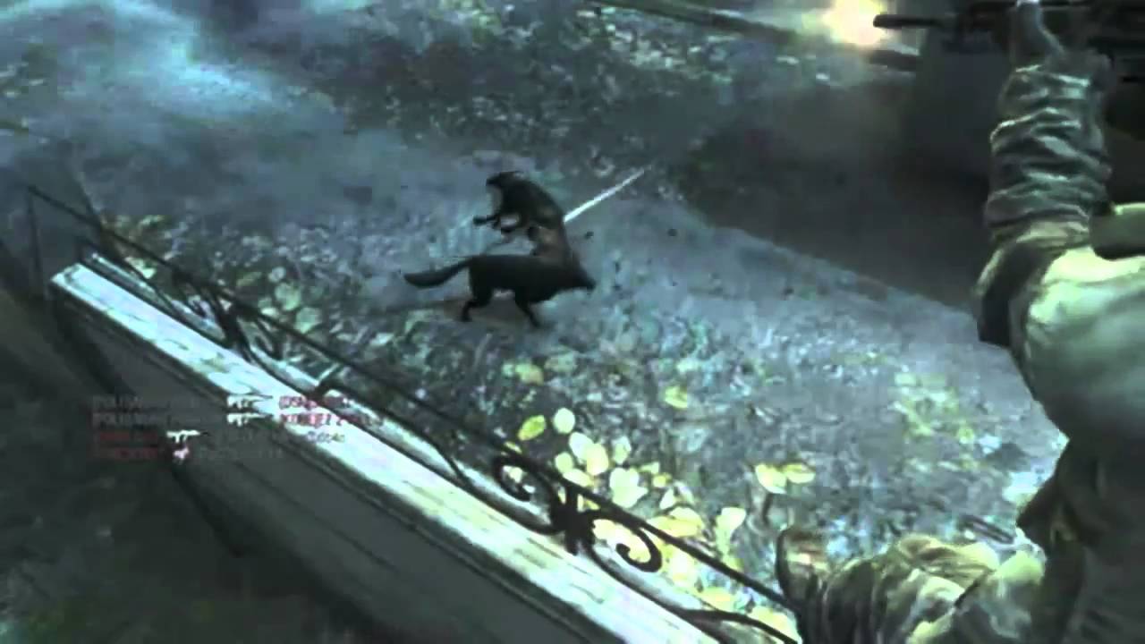 Dog Barrier on Hanoi - Safe From Enemy Attack Dogs