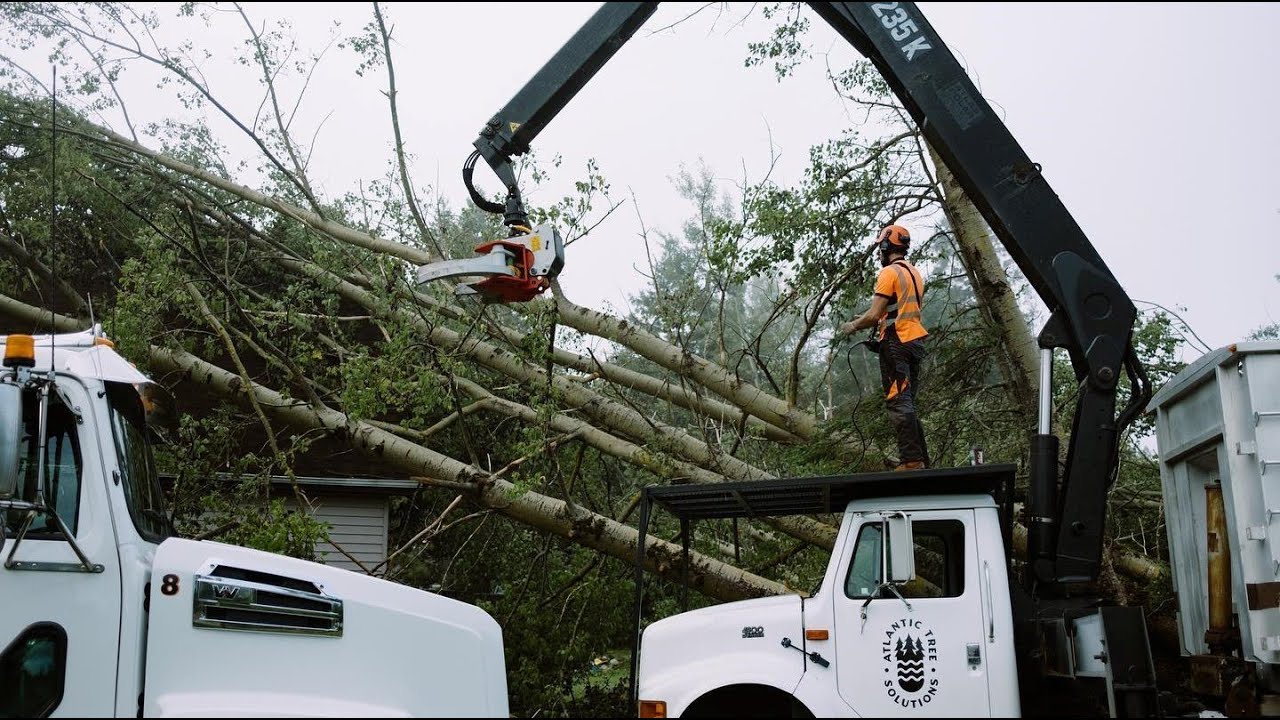 Nisula 205E tree shears helping the recover of hurricane Fiona in Nova