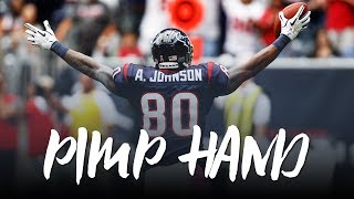 Andre Johnson: 'Pimp Hand' (Career Tribute) ᴴᴰ