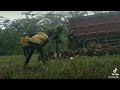 kuli sawit,pantang pulang sebelum siap