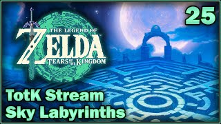 Sky Labyrinth - Pixel Plays Tears of the Kingdom 25