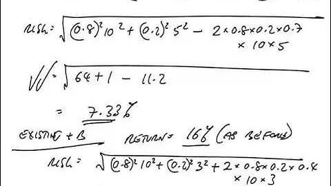 ACCA P4 Portfolio Theory Example 5