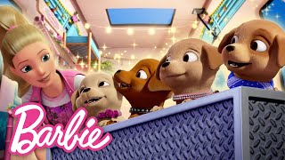 The Best Moments from Barbie \& Her Sisters in a Puppy Chase!