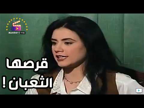 شوف كما تدين تدان ناريمان حصلها نفس اللي عملته في بامبي علشان تسقط حملها