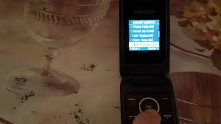 Samsung E1195