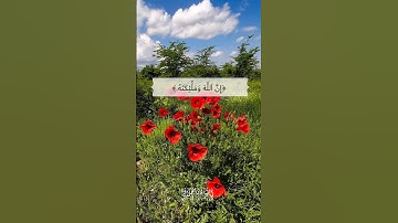 إن الله وملائكته يصلون على النبي /سورة الأحزاب /القارئ 🎙: ماهر المعيقلي /قرآن كريم