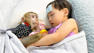 Friendship Tested: Monkey Kaka's Vigil for Diem's Recovery