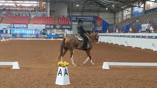 2023 WDAA World Championship Show Level 1 Test 1 Wealth