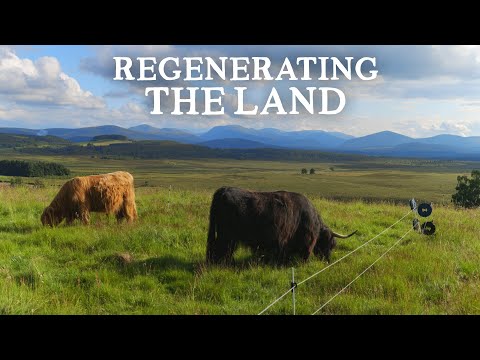 Inspirational 150 Acre Regenerative Farm in the Scottish Highlands