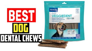 ✅Top 5 Best Dog Dental Chews for Excellent Oral Hygiene in 2024