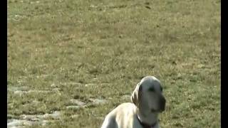 20100313 Camilla Emma 1.wmv