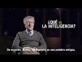 ¿Qué es la Inteligencia?