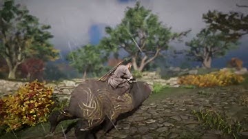 Checking New Items & Changes In Assassin