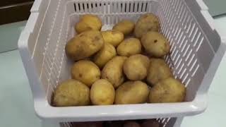 طريقة تخزين البطاطة و التمر لي مدة طويلة