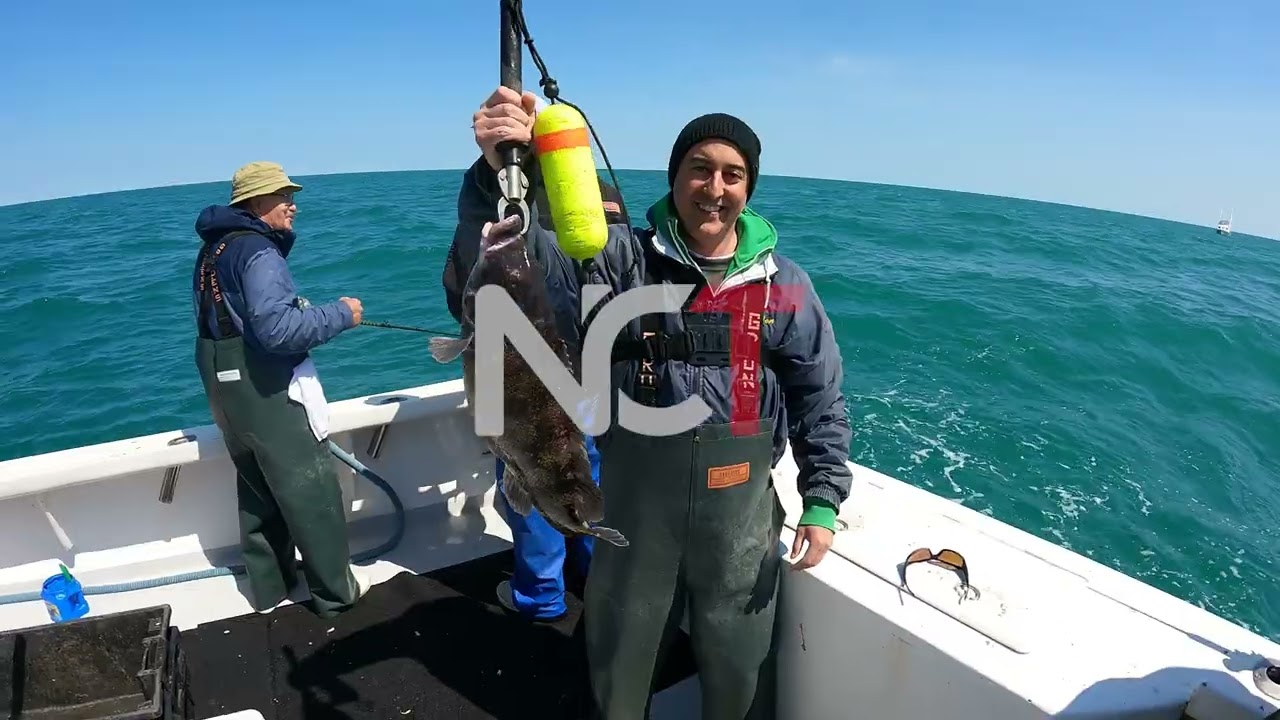 trial for johnnyfish's channel