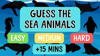 Long Sea Animal Guessing Game 🐙 30+ Animals | 15+ Minutes | Educational Kids Video screenshot 2