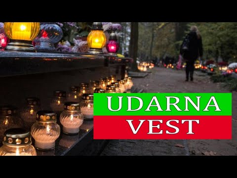 Video: Dokazano Je Spontano Nastajanje života - Alternativni Prikaz