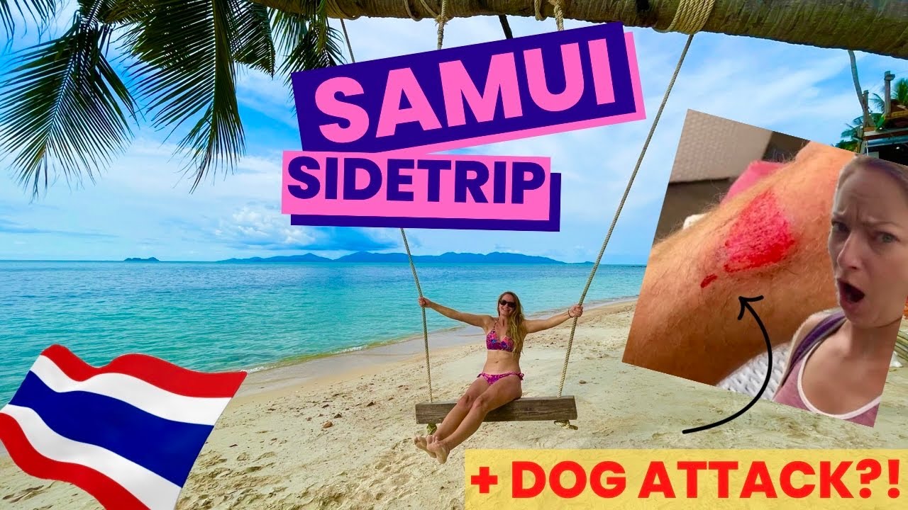 😳Was NOT expecting this to happen👎| Samui Side Trip | Sailing Joco EP70