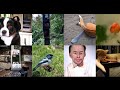Deep music visualiser - Rock