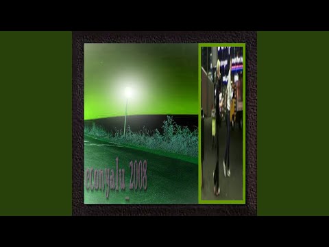 Econ_Yalu2008 (Slowed +