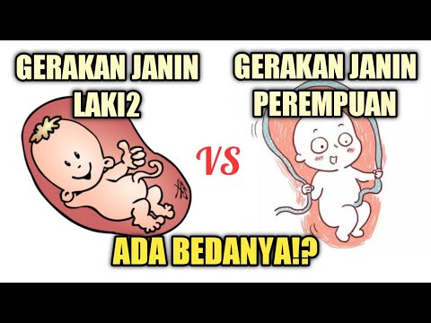 Video: Siapa yang lebih aktif dalam kandungan laki-laki atau perempuan?