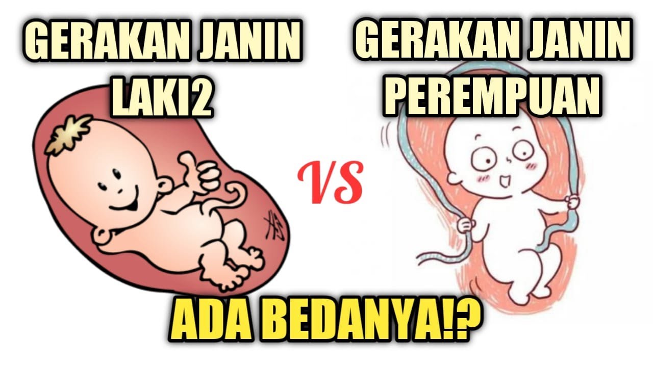 Perbedaan Gerakan Janin Laki-laki dan Perempuan!? Ini Faktanya..
