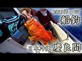日本沖繩釣魚 挑戰巨物勝地 慶良間