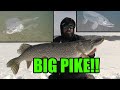 Ice Fishing for BIG PIKE! (40"+) | Insane UNDERWATER Footage!!