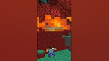 Enderman Encounters Animation meme In Real Minecraft #minecraft #enderman #nether @ChinosAnimated