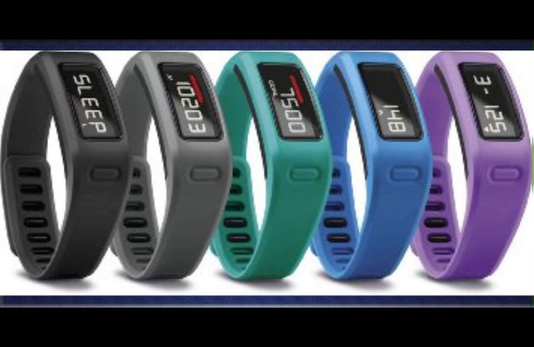 garmin clip on pedometer
