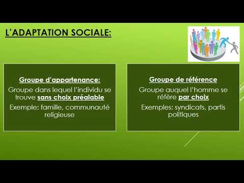 Vidéo: Comment Faciliter Le Processus D'adaptation Sociale