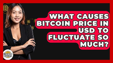What Causes Bitcoin Price in USD to Fluctuate So Much? | CryptoBasics360 News